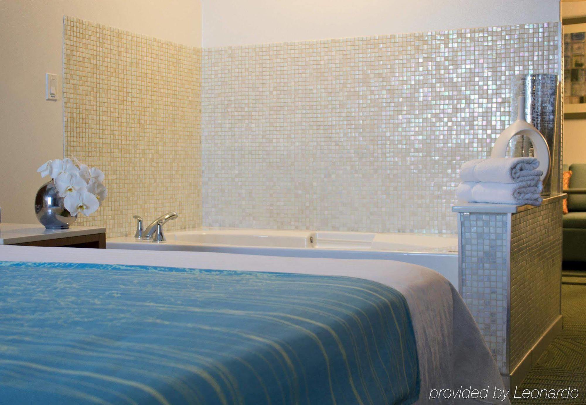 Springhill Suites Cincinnati Airport South Florence Bilik gambar